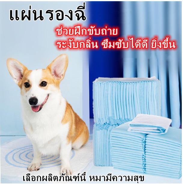 PS173-แผ่นเจลเย็น ที่นอนเย็น เบาะนอนเย็น สำหรับสุนัขและแมว เจลเย็น คลายร้อน ที่นอนเย็นสำหรับสัตว์เลี้ยง