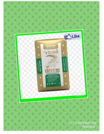 PO22-ปูนกาวจระเข้ทอง 20 กก.สีเทา