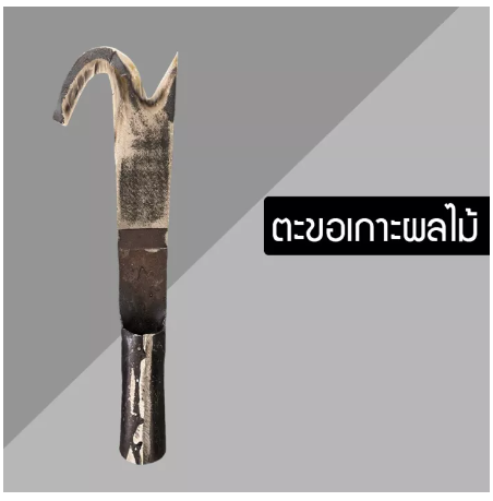 D21-ที่เกาะผลไม้ ทำจากเหล็กแหนบ ที่เกาะมะพร้าว ตะขอเก็บมะพร้าว และผลไม้อื่นๆ