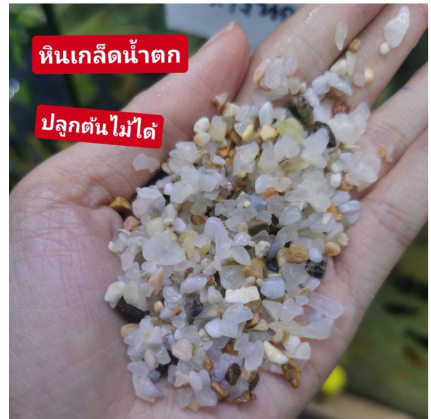 PSU245-หินเกล็ด​น้ำตก​เล็ก​ ปลูกต้นไม้ได้