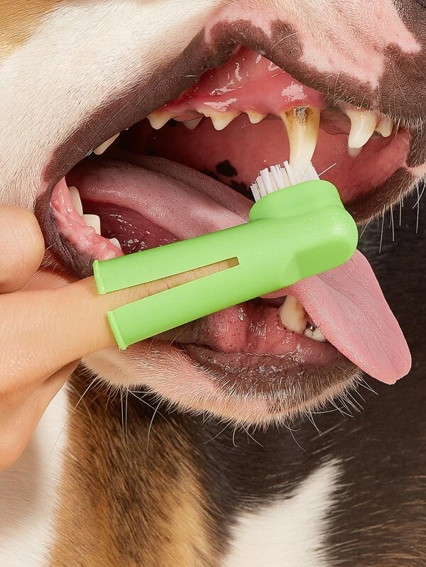 แปรงสีฟันสำหรับนิ้วมือสัตว์เลี้ยง สีสุ่ม 1 ชิ้น ม-74